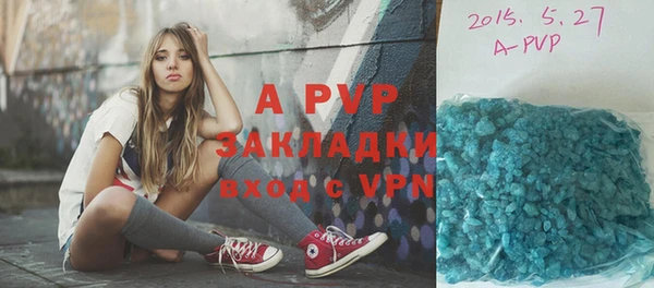 крисы Алексин