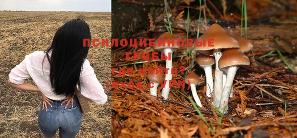экстази Алексеевка